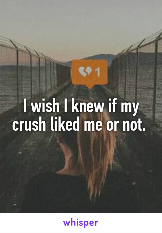 I wish I knew if my crush liked me or not. 