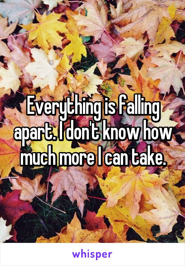 Everything is falling apart. I don't know how much more I can take.