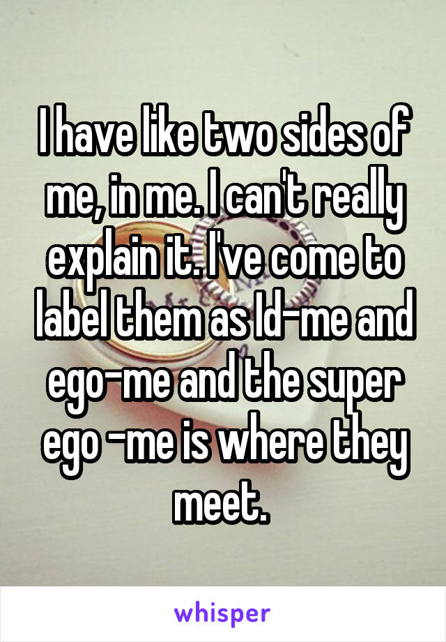 I have like two sides of me, in me. I can't really explain it. I've come to label them as Id-me and ego-me and the super ego -me is where they meet. 