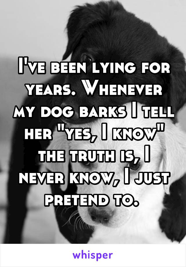 I've been lying for years. Whenever my dog barks I tell her "yes, I know" the truth is, I never know, I just pretend to. 