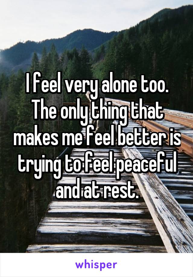 I feel very alone too. The only thing that makes me feel better is trying to feel peaceful and at rest.