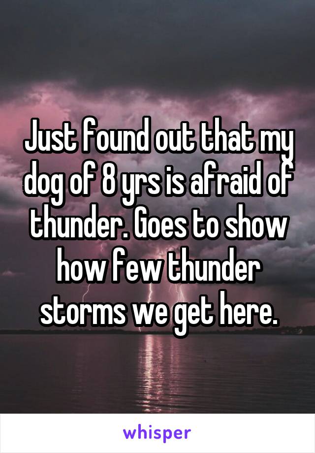 Just found out that my dog of 8 yrs is afraid of thunder. Goes to show how few thunder storms we get here.