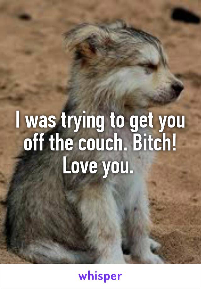 I was trying to get you off the couch. Bitch! Love you. 