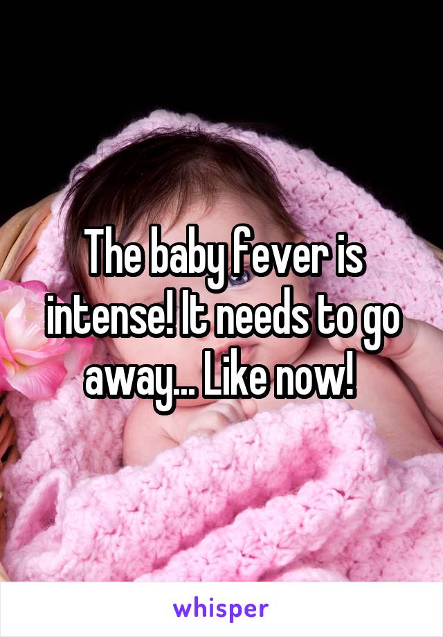 The baby fever is intense! It needs to go away... Like now! 