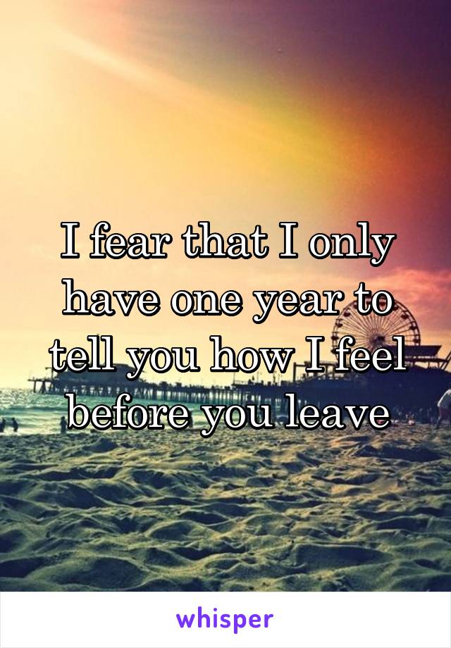 I fear that I only have one year to tell you how I feel before you leave