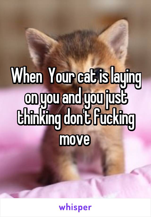 When  Your cat is laying on you and you just thinking don't fucking move 