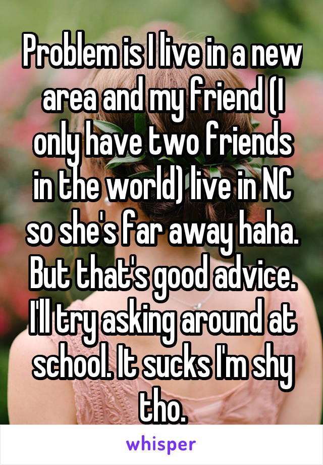 Problem is I live in a new area and my friend (I only have two friends in the world) live in NC so she's far away haha. But that's good advice. I'll try asking around at school. It sucks I'm shy tho.