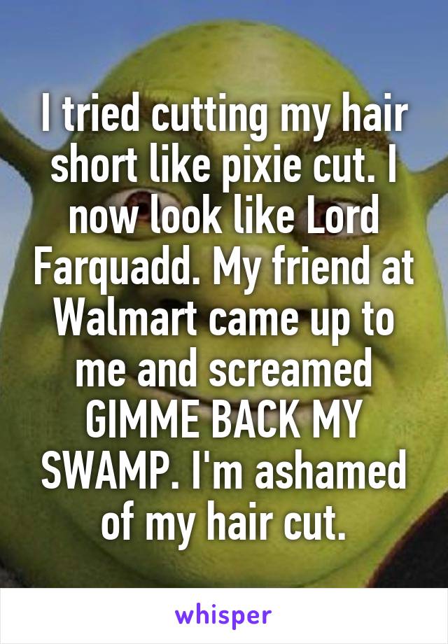 I tried cutting my hair short like pixie cut. I now look like Lord Farquadd. My friend at Walmart came up to me and screamed GIMME BACK MY SWAMP. I'm ashamed of my hair cut.