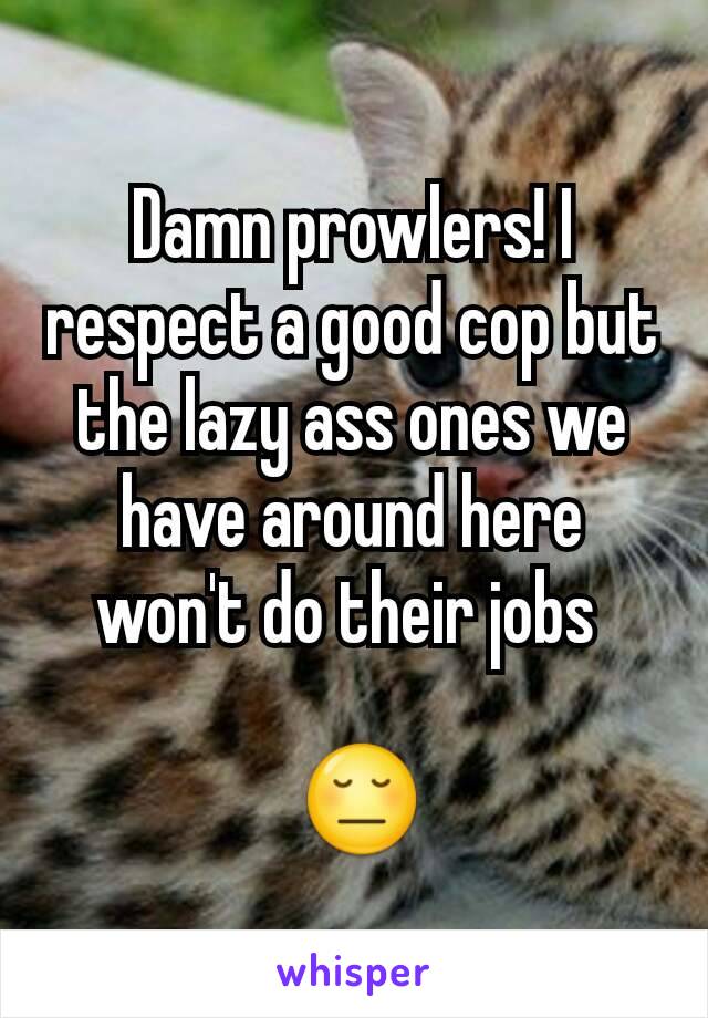 Damn prowlers! I respect a good cop but the lazy ass ones we have around here won't do their jobs 

 😔