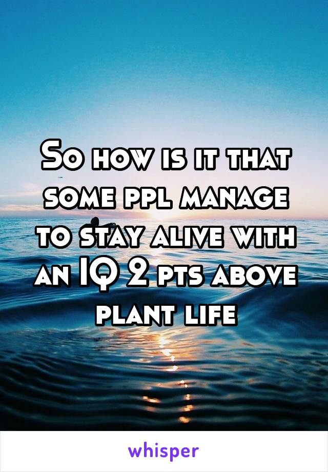 So how is it that some ppl manage to stay alive with an IQ 2 pts above plant life