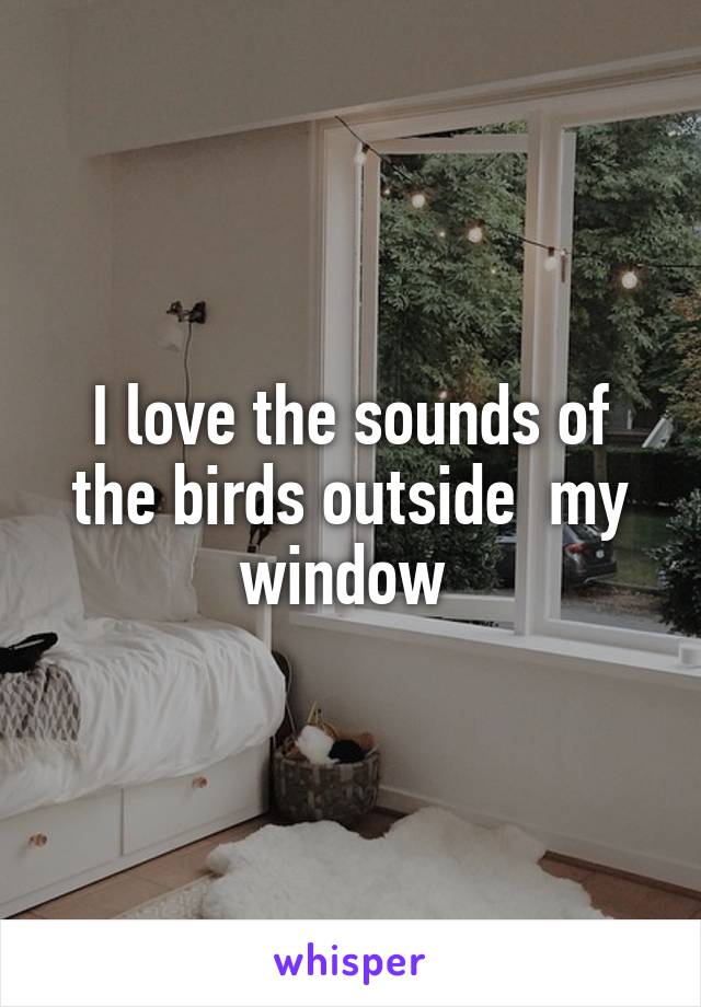 I love the sounds of the birds outside  my window 