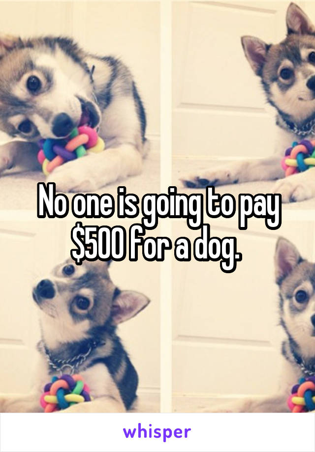 No one is going to pay $500 for a dog. 