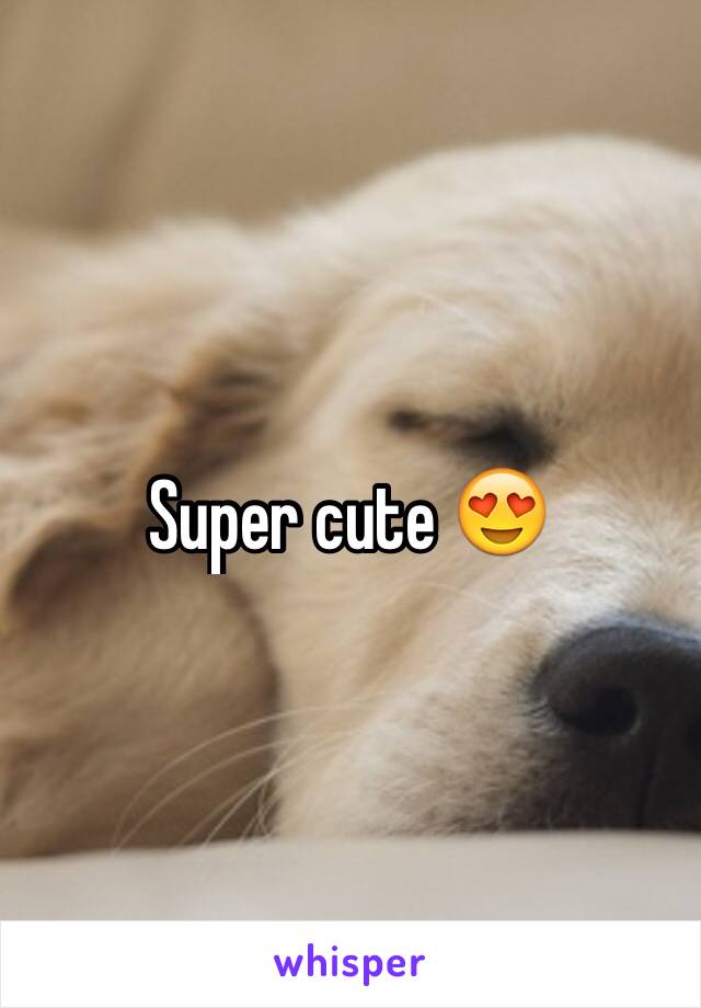 Super cute 😍