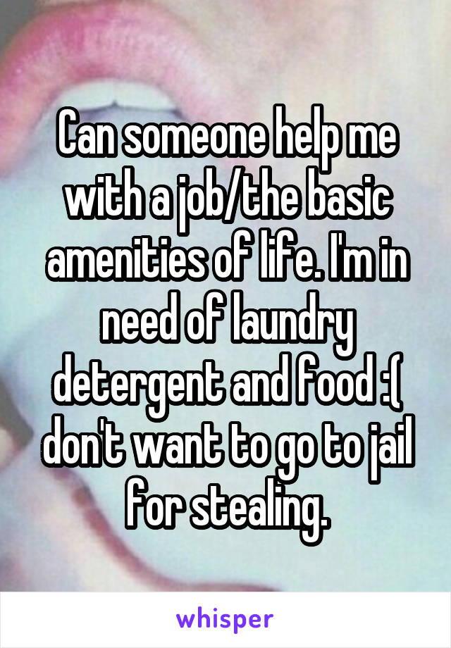 Can someone help me with a job/the basic amenities of life. I'm in need of laundry detergent and food :( don't want to go to jail for stealing.