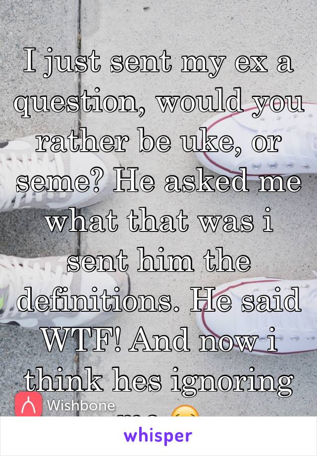 I just sent my ex a question, would you rather be uke, or seme? He asked me what that was i sent him the definitions. He said WTF! And now i think hes ignoring me.😂