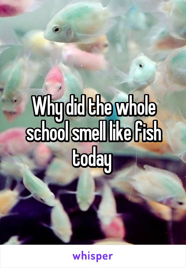 Why did the whole school smell like fish today 