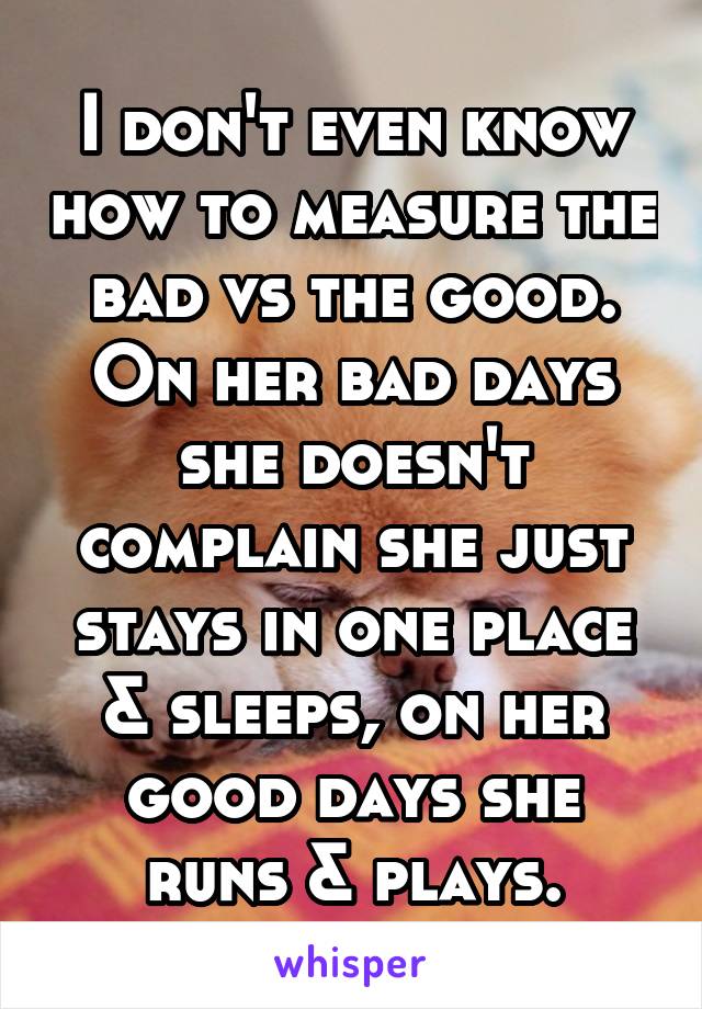 I don't even know how to measure the bad vs the good.
On her bad days she doesn't complain she just stays in one place & sleeps, on her good days she runs & plays.