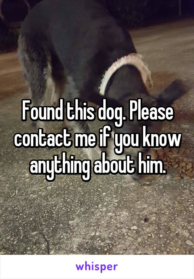 Found this dog. Please contact me if you know anything about him.