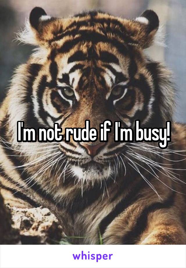 I'm not rude if I'm busy!