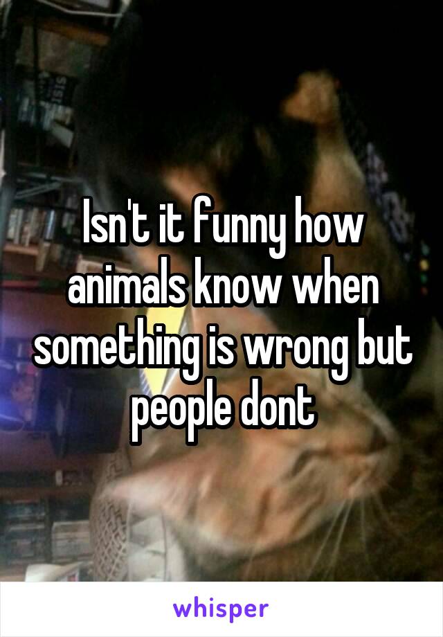 Isn't it funny how animals know when something is wrong but people dont