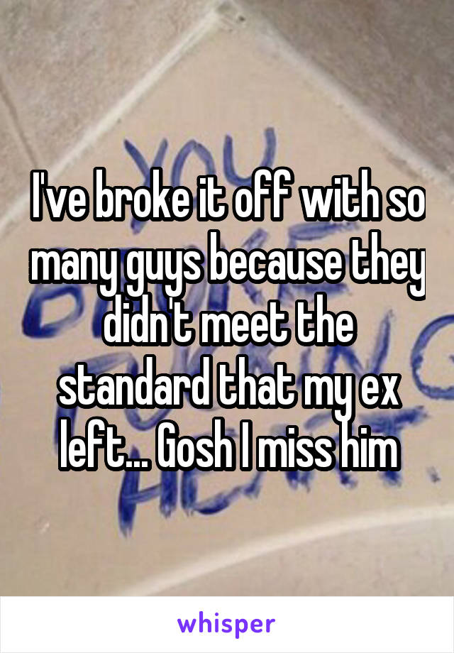 I've broke it off with so many guys because they didn't meet the standard that my ex left... Gosh I miss him