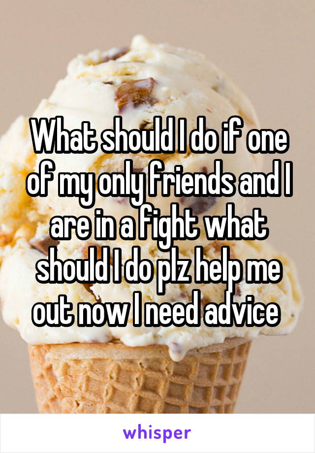 What should I do if one of my only friends and I are in a fight what should I do plz help me out now I need advice 