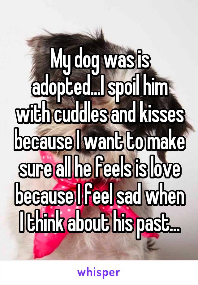 My dog was is adopted...I spoil him with cuddles and kisses because I want to make sure all he feels is love because I feel sad when I think about his past...