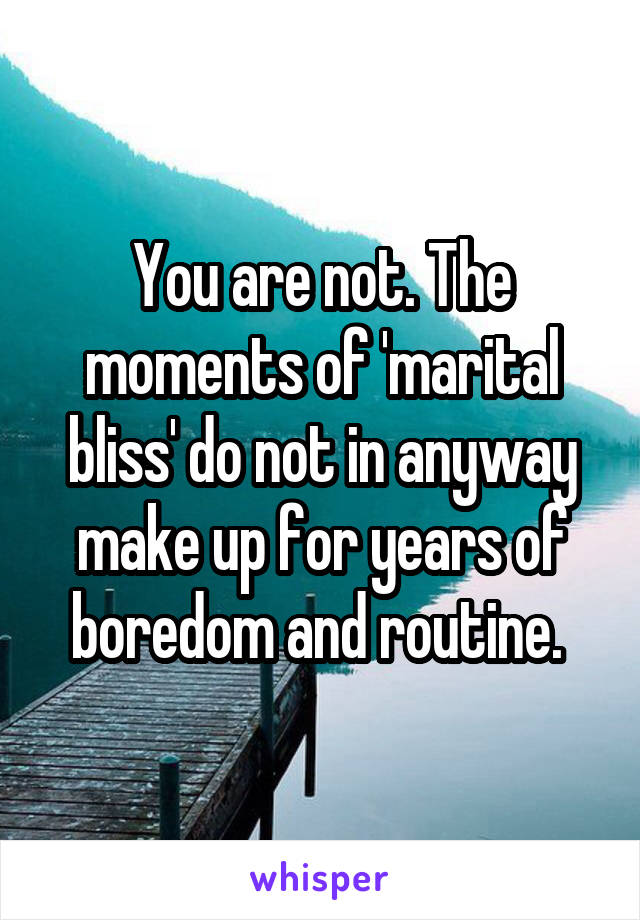 You are not. The moments of 'marital bliss' do not in anyway make up for years of boredom and routine. 