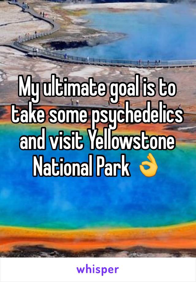 My ultimate goal is to take some psychedelics and visit Yellowstone National Park 👌