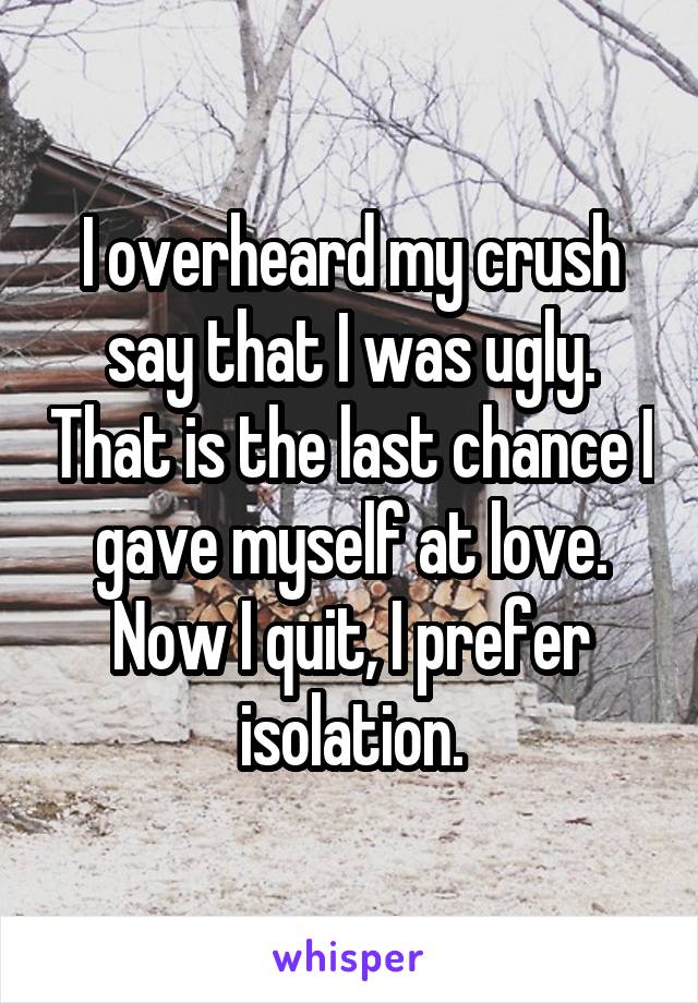 I overheard my crush say that I was ugly. That is the last chance I gave myself at love. Now I quit, I prefer isolation.