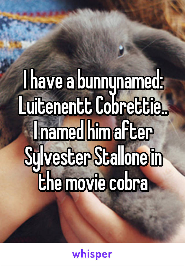 I have a bunnynamed:
Luitenentt Cobrettie.. I named him after Sylvester Stallone in the movie cobra