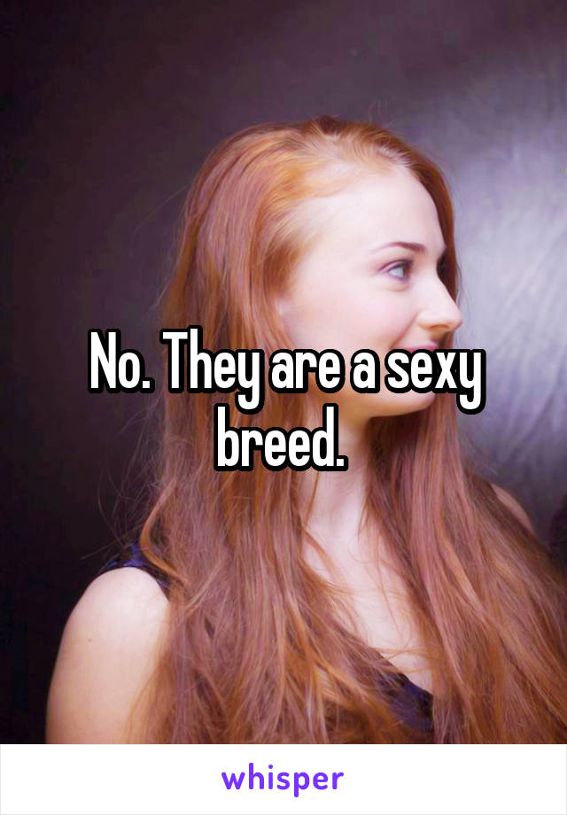 No. They are a sexy breed. 