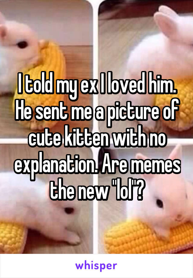 I told my ex I loved him. He sent me a picture of cute kitten with no explanation. Are memes the new "lol"?