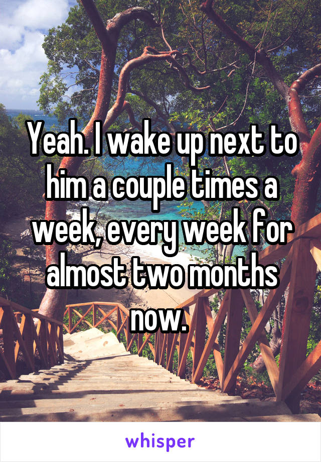 Yeah. I wake up next to him a couple times a week, every week for almost two months now. 