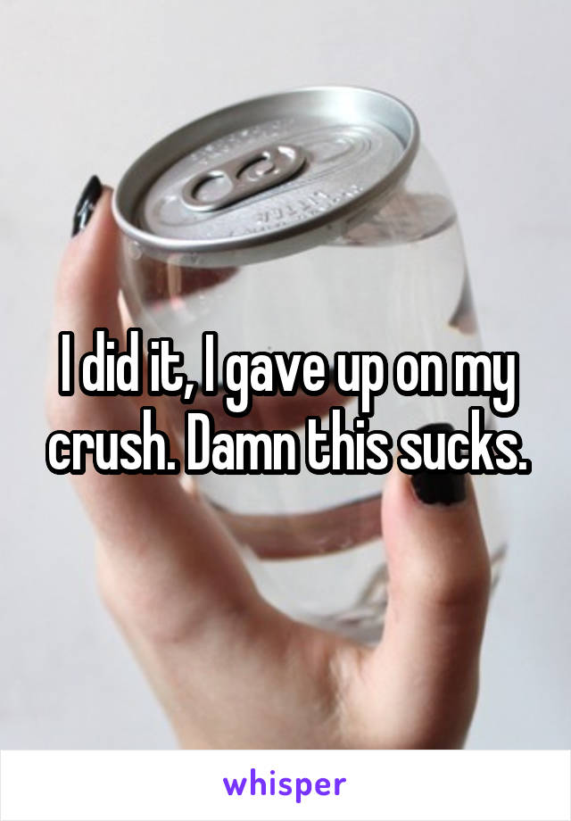 I did it, I gave up on my crush. Damn this sucks.