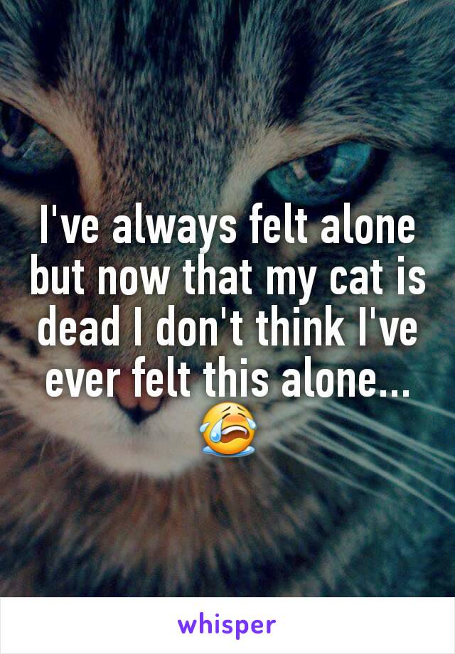 I've always felt alone but now that my cat is dead I don't think I've ever felt this alone...
😭