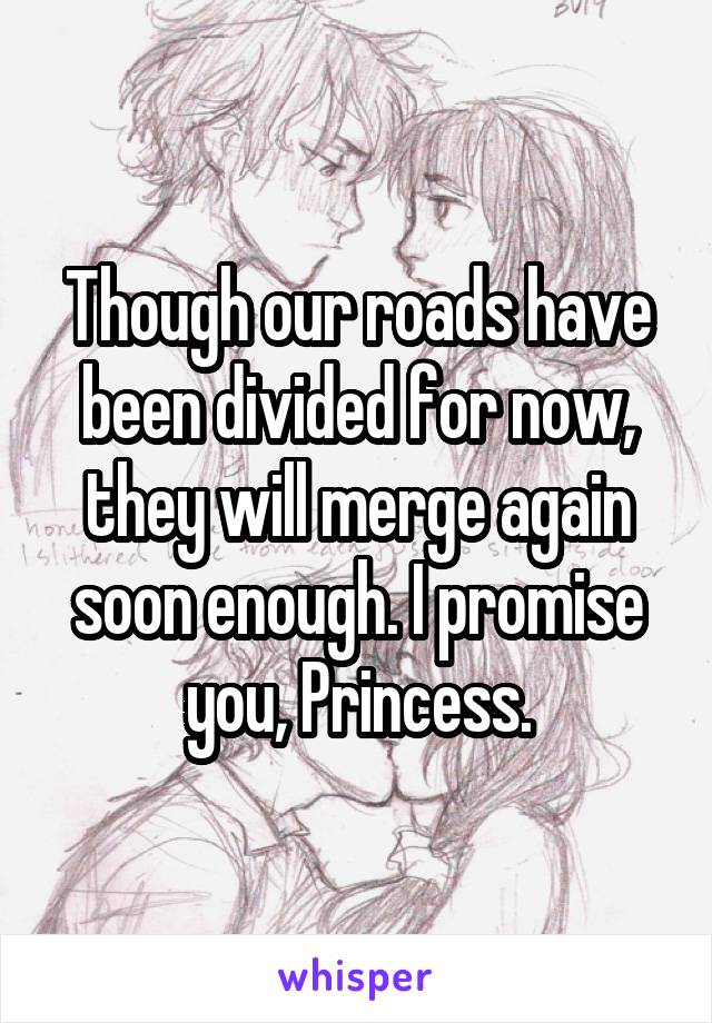 Though our roads have been divided for now, they will merge again soon enough. I promise you, Princess.