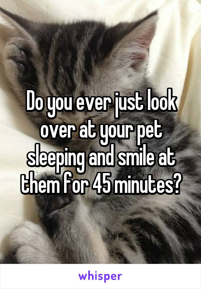 Do you ever just look over at your pet sleeping and smile at them for 45 minutes?