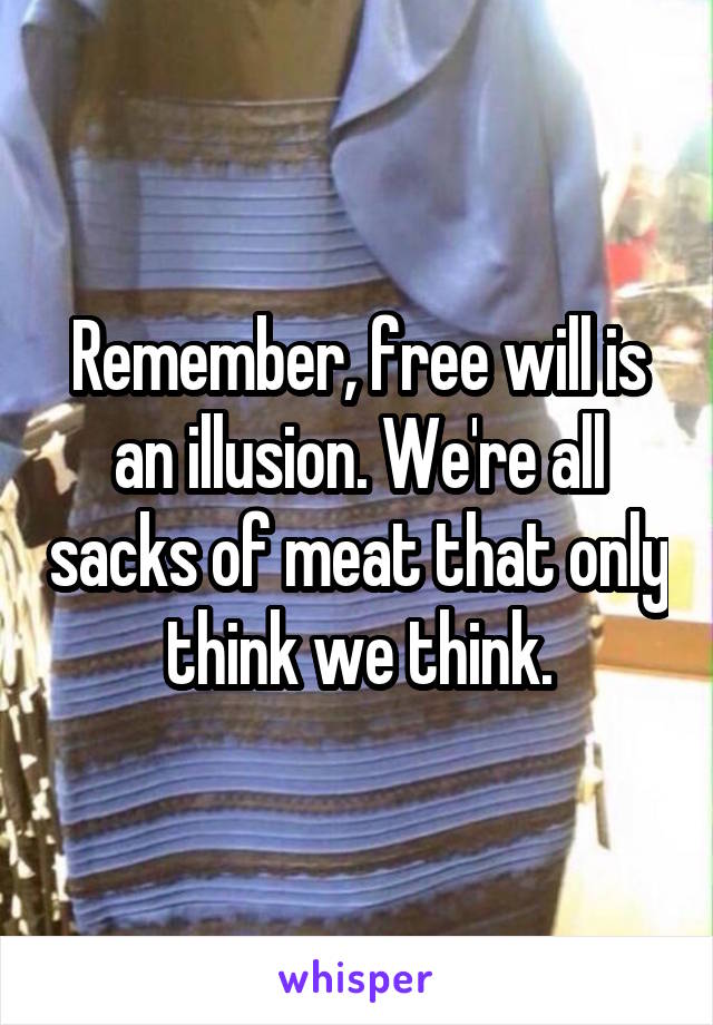 Remember, free will is an illusion. We're all sacks of meat that only think we think.