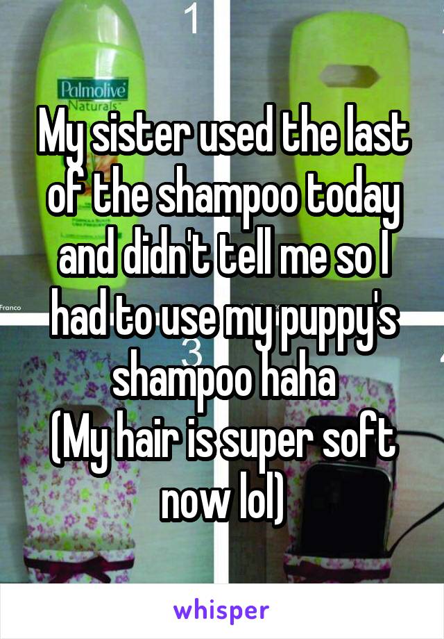 My sister used the last of the shampoo today and didn't tell me so I had to use my puppy's shampoo haha
(My hair is super soft now lol)