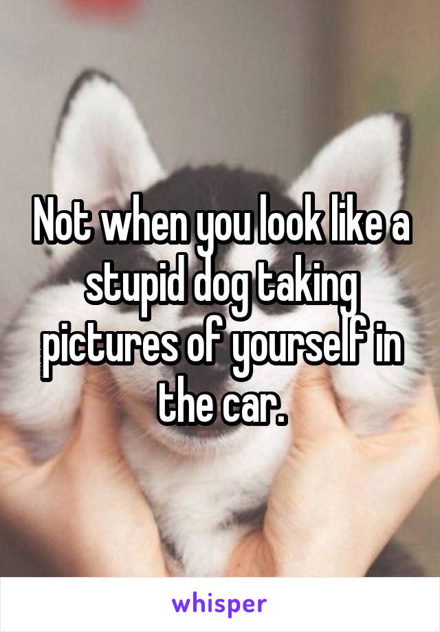 Not when you look like a stupid dog taking pictures of yourself in the car.