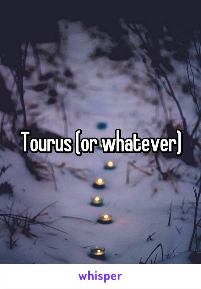 Tourus (or whatever)