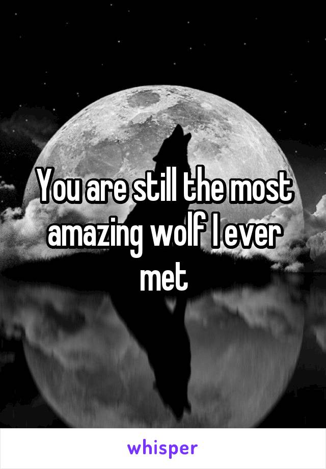 You are still the most amazing wolf I ever met