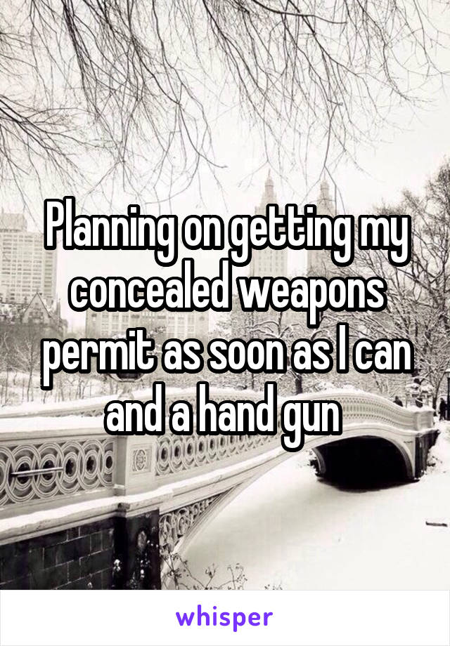 Planning on getting my concealed weapons permit as soon as I can and a hand gun 