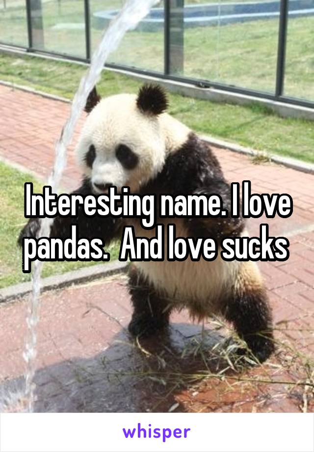 Interesting name. I love pandas.  And love sucks 