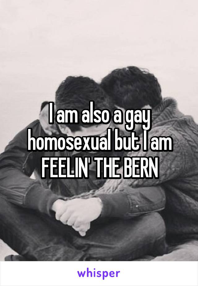 I am also a gay homosexual but I am FEELIN' THE BERN