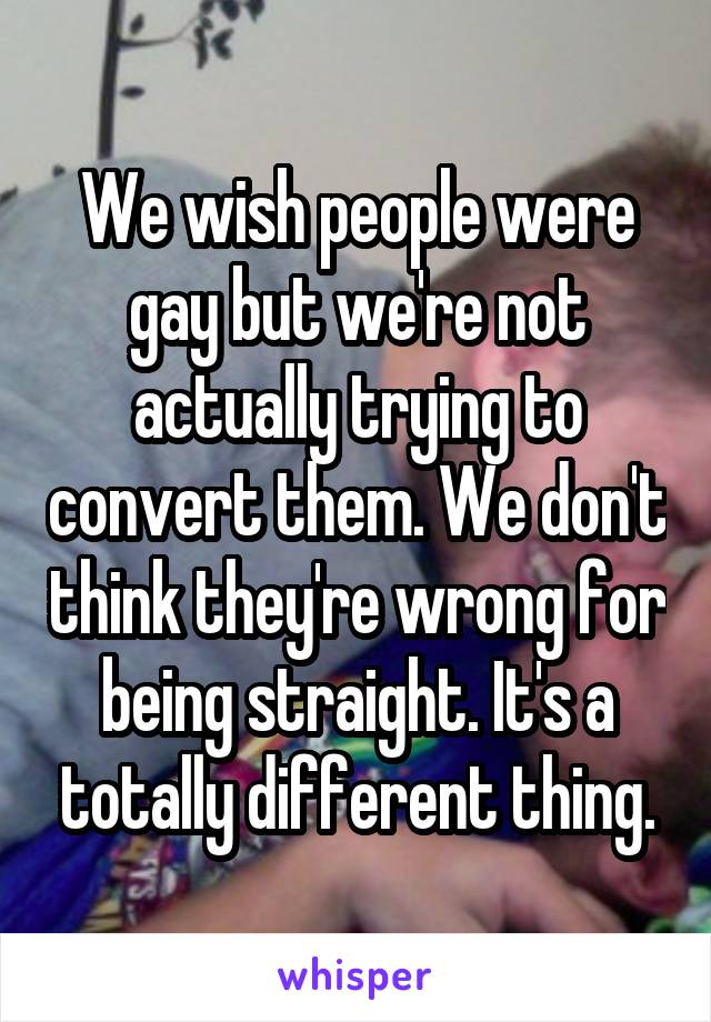 We wish people were gay but we're not actually trying to convert them. We don't think they're wrong for being straight. It's a totally different thing.