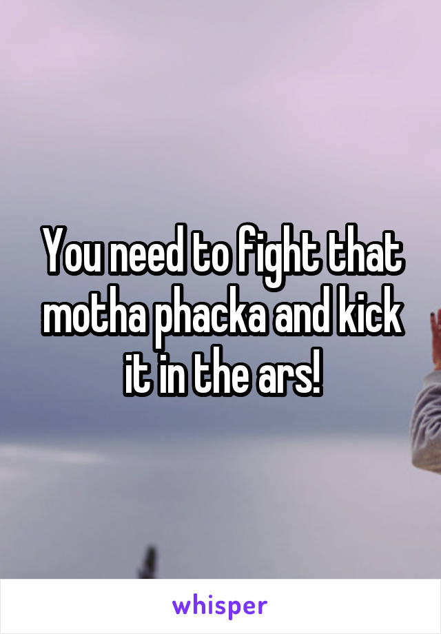 You need to fight that motha phacka and kick it in the ars!