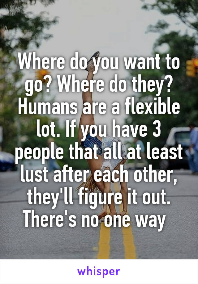 Where do you want to go? Where do they? Humans are a flexible lot. If you have 3 people that all at least lust after each other, they'll figure it out.
There's no one way  