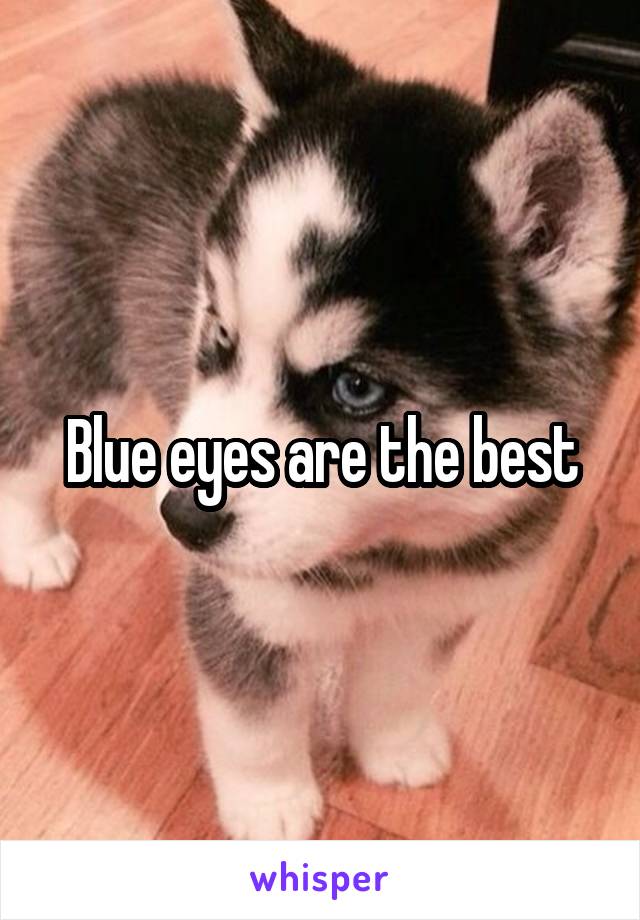 Blue eyes are the best